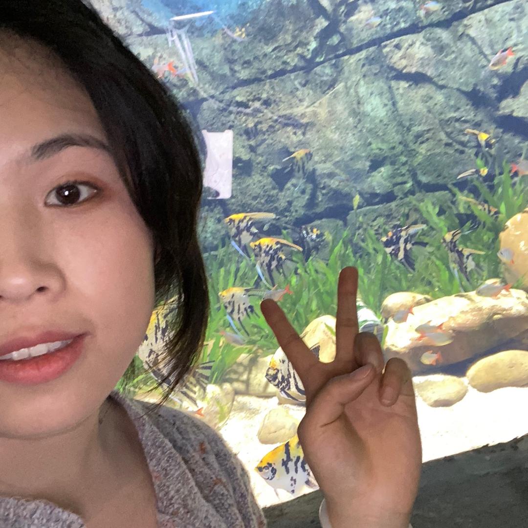 退堂鼓一级选手（减肥版-互关互赞）