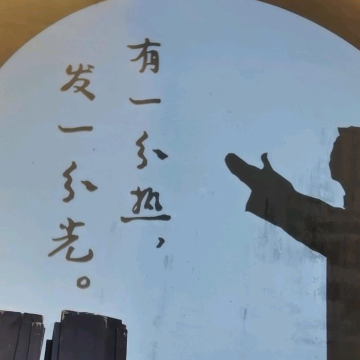 学车报名
