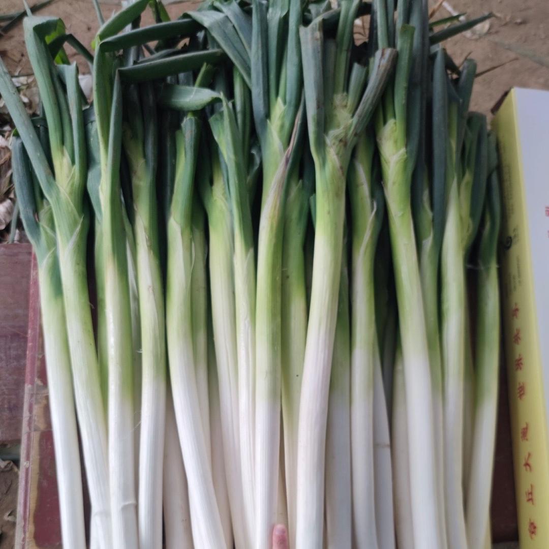 菜鲜生土产农产品