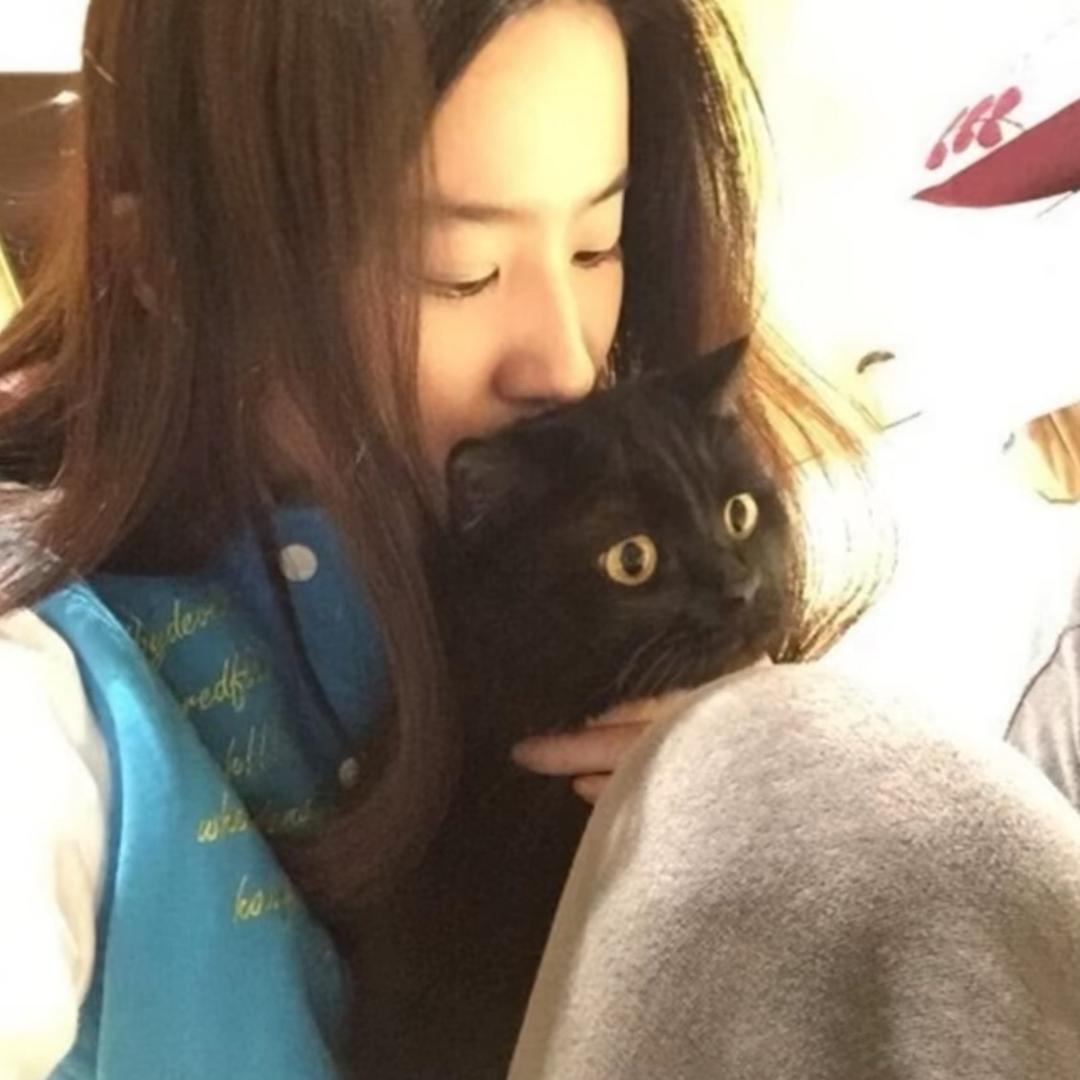发财小猫