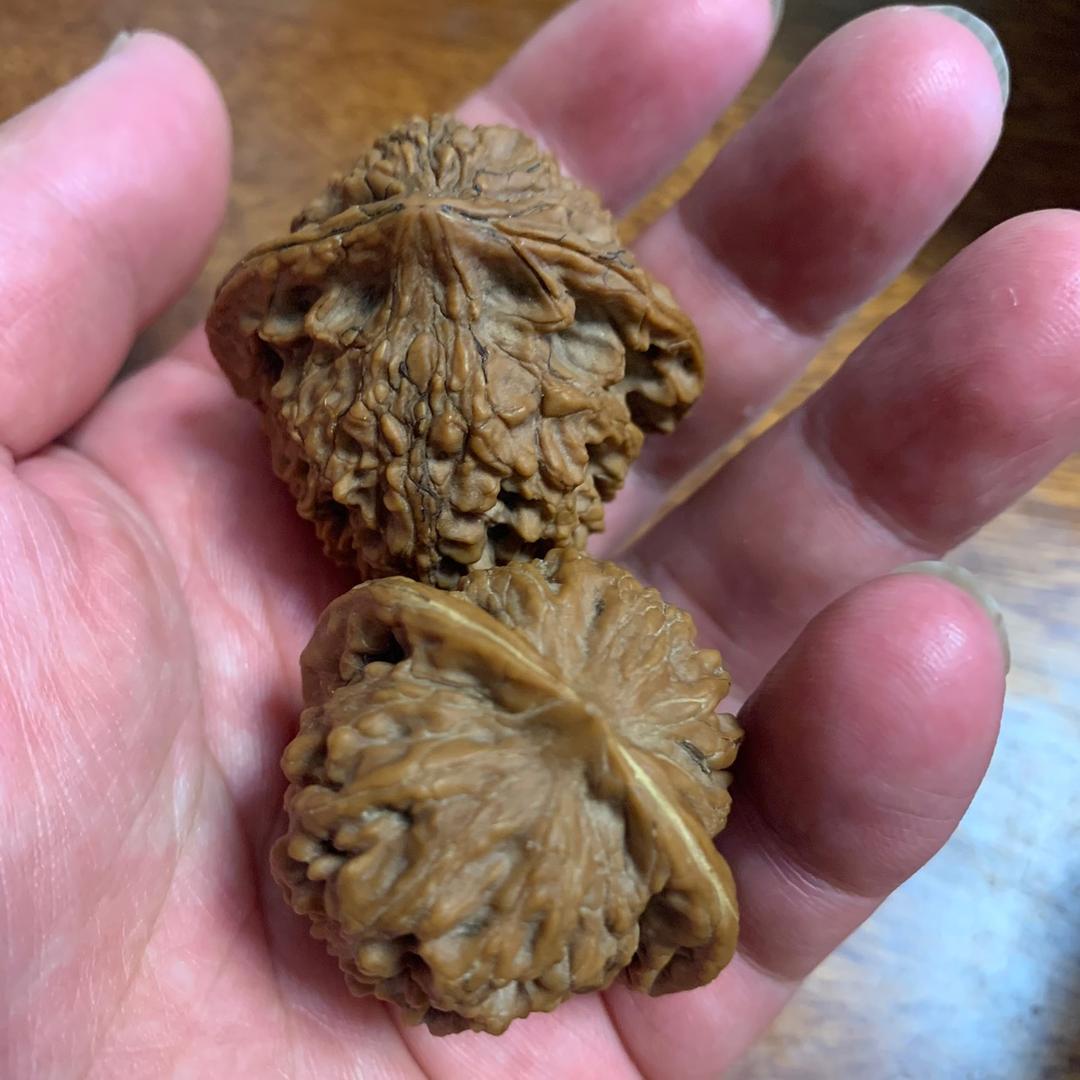 美酒加咖啡