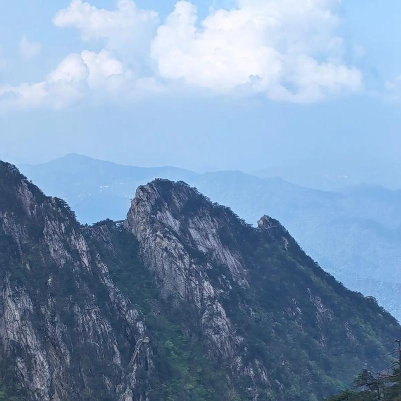 无名好心人（大别山助农版