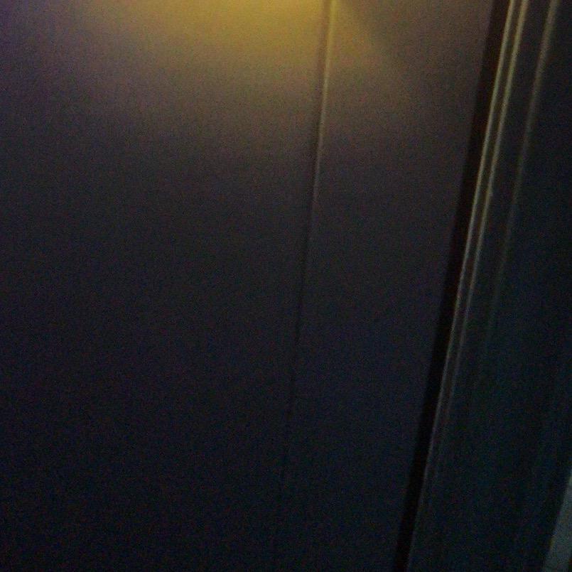 树叶的时候