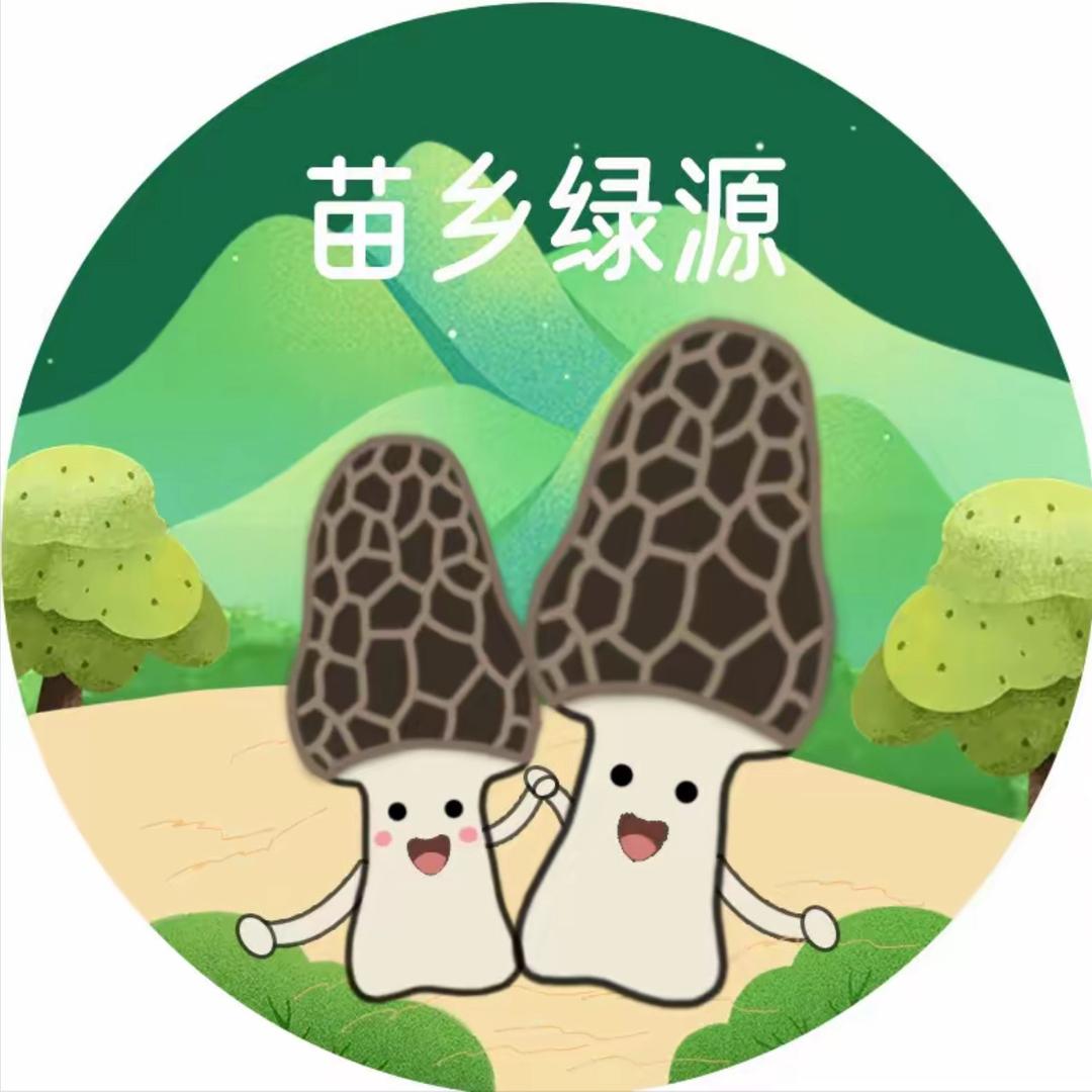 苗乡绿源生态农业羊肚菌
