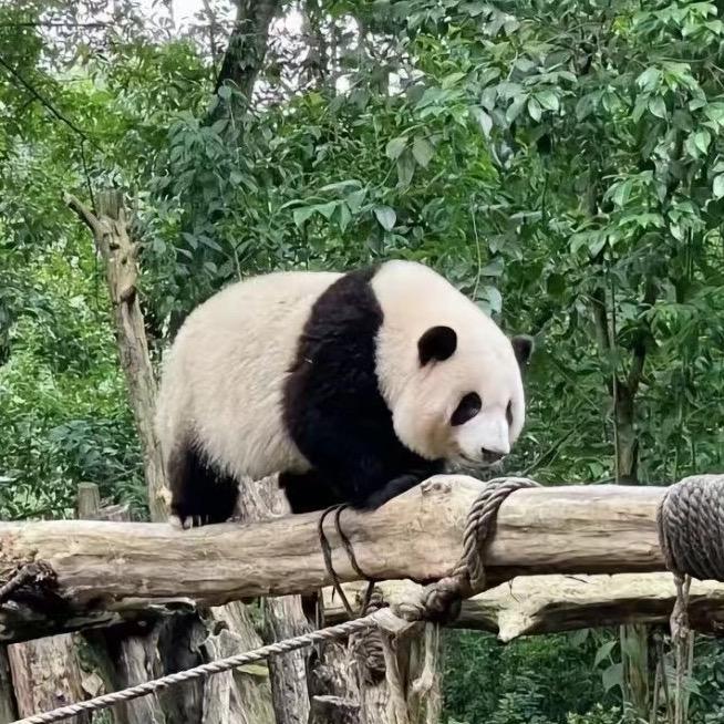小小心心