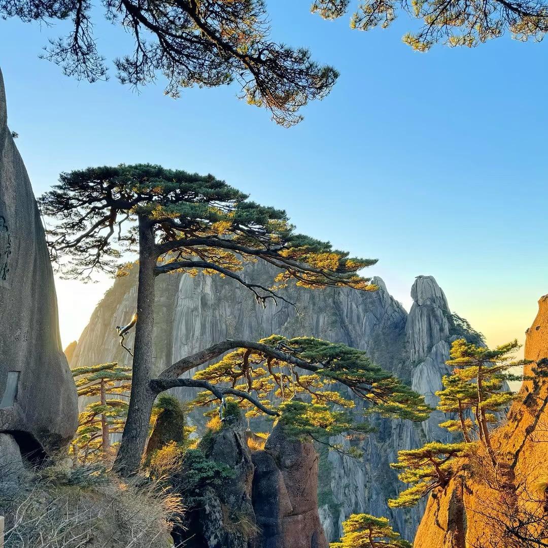 会当凌绝顶@（钱）