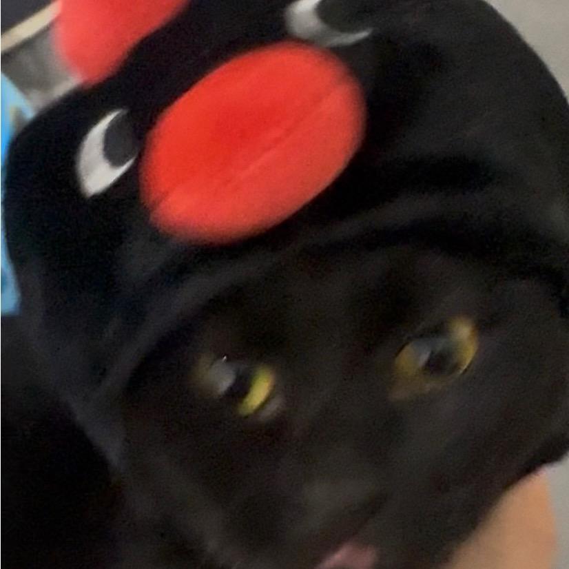 林比格