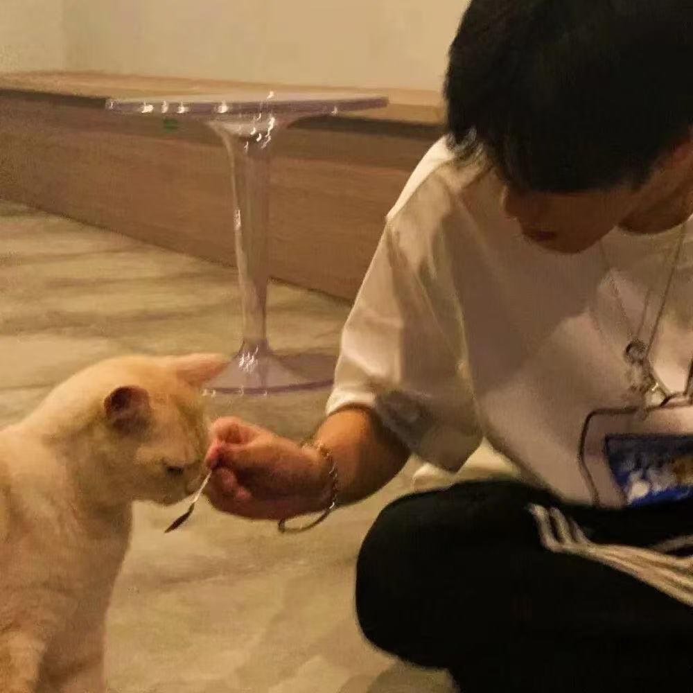 三七（旭旭宝宝传媒）