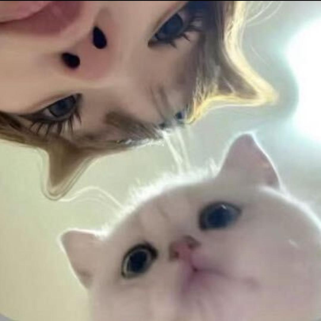 修水民匠装饰-小錦