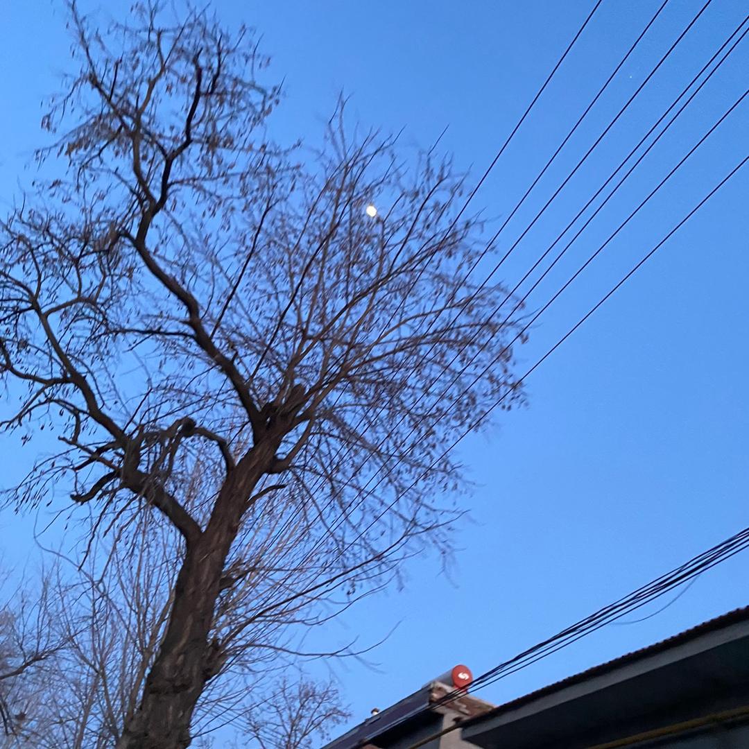 平平安安