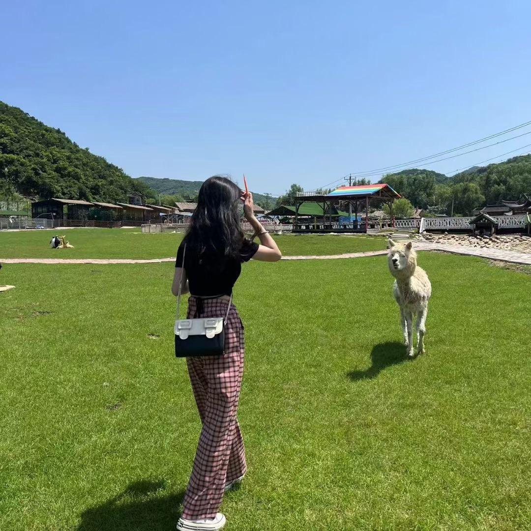 封什么封