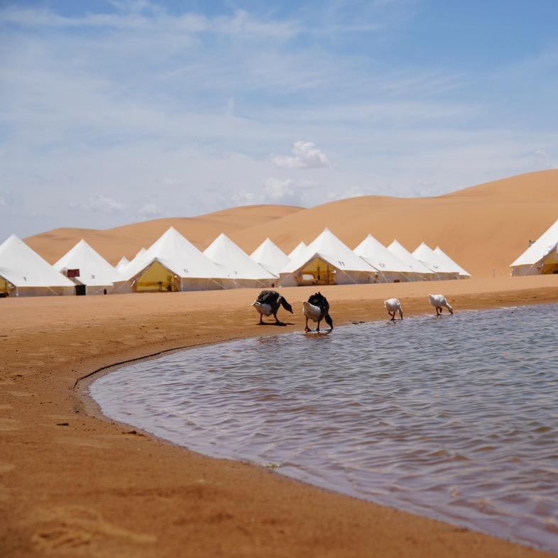 沙域星空观景酒店