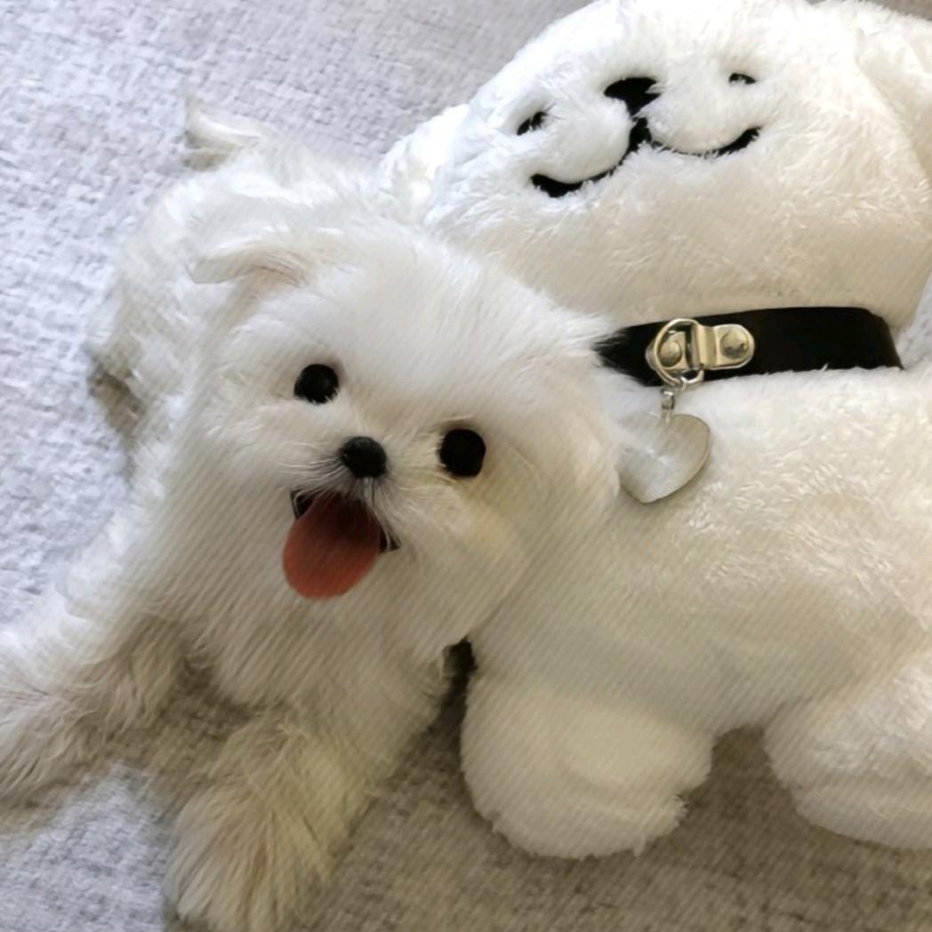 钱钱
