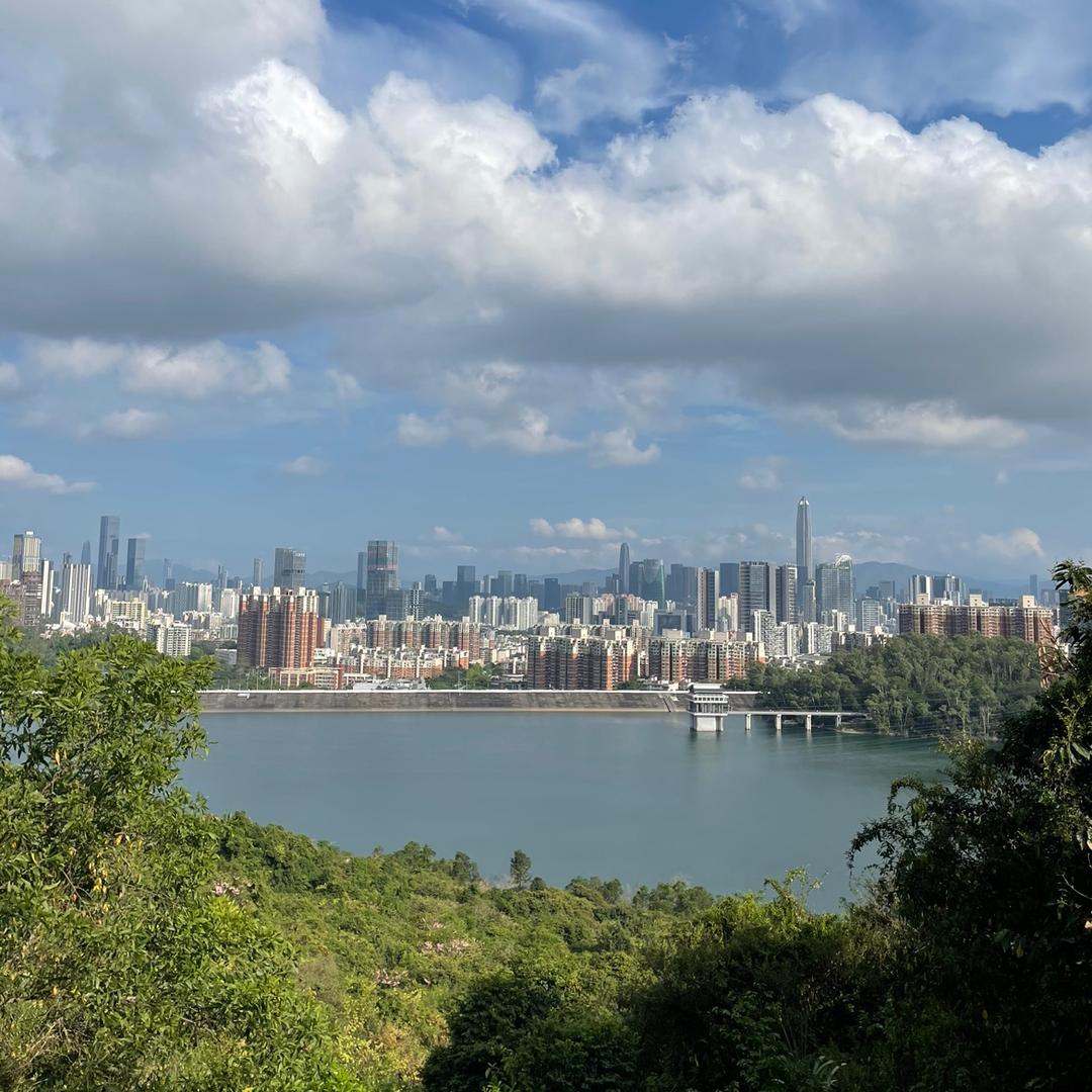 车水马龙