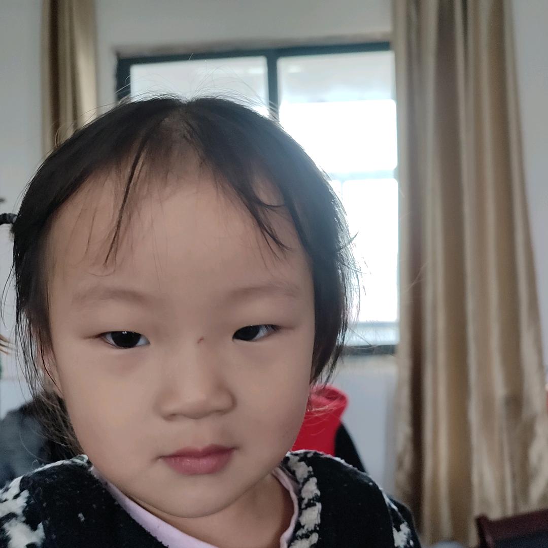 叶子