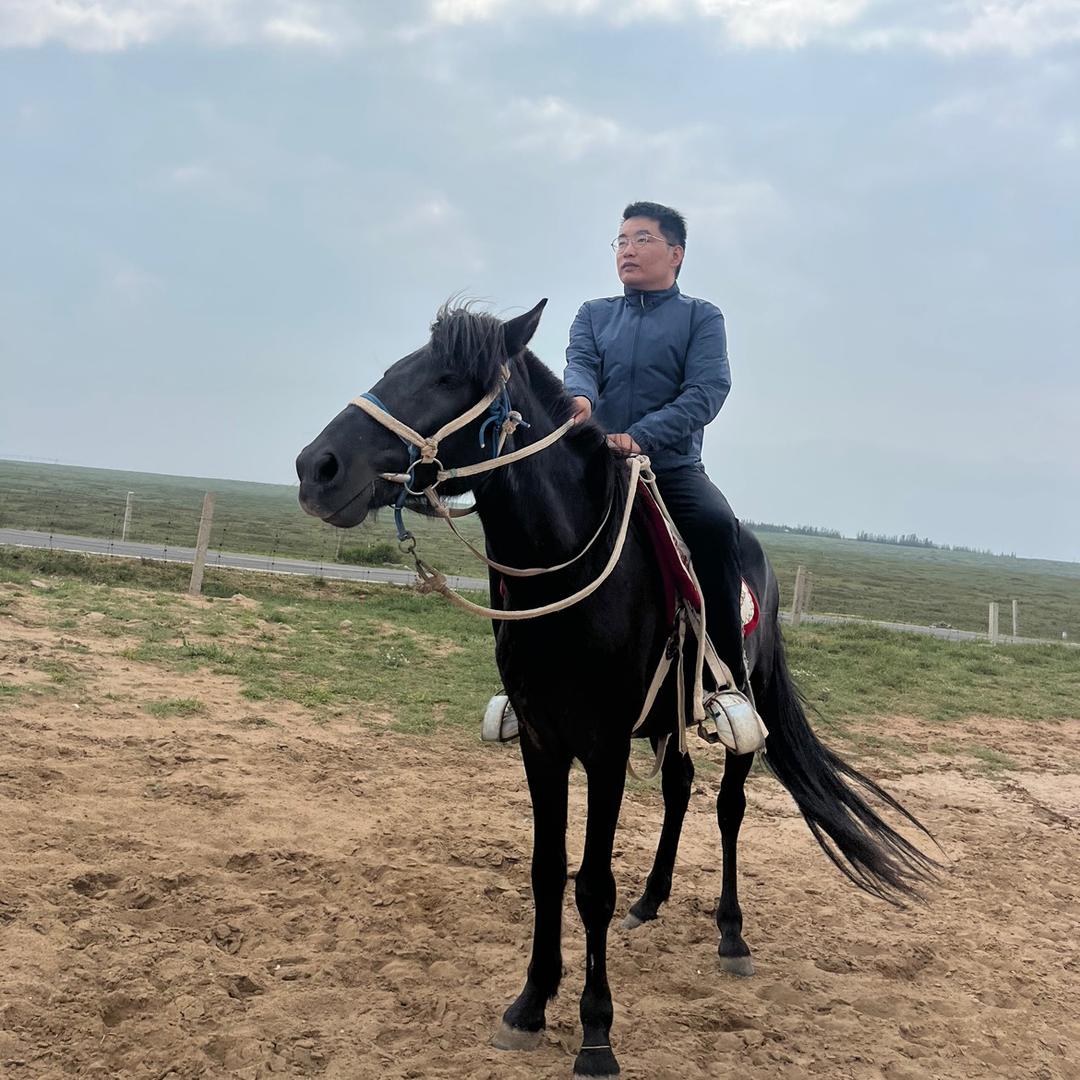 奋斗的小鸟
