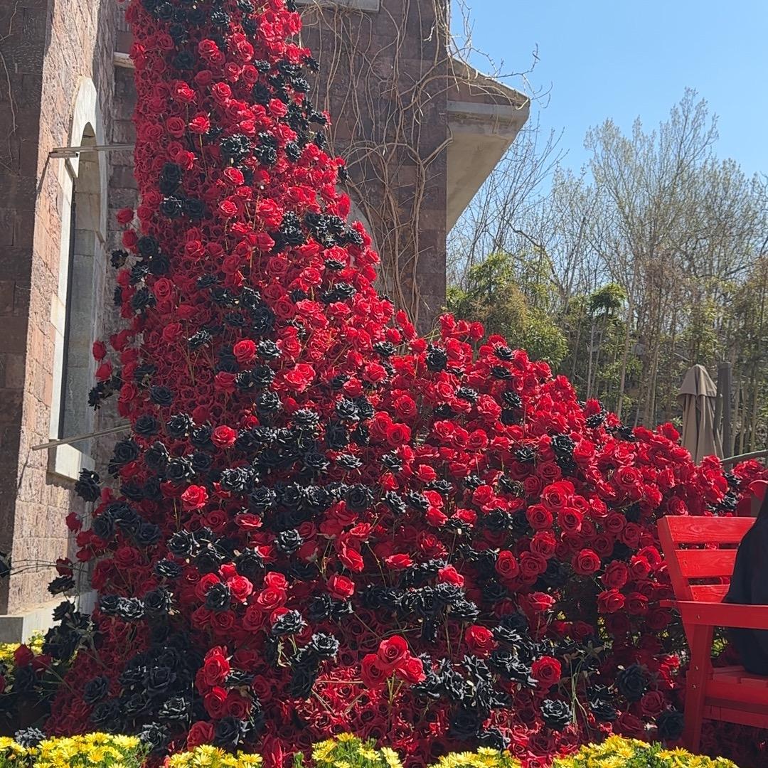 尊世情怀开心855直播号