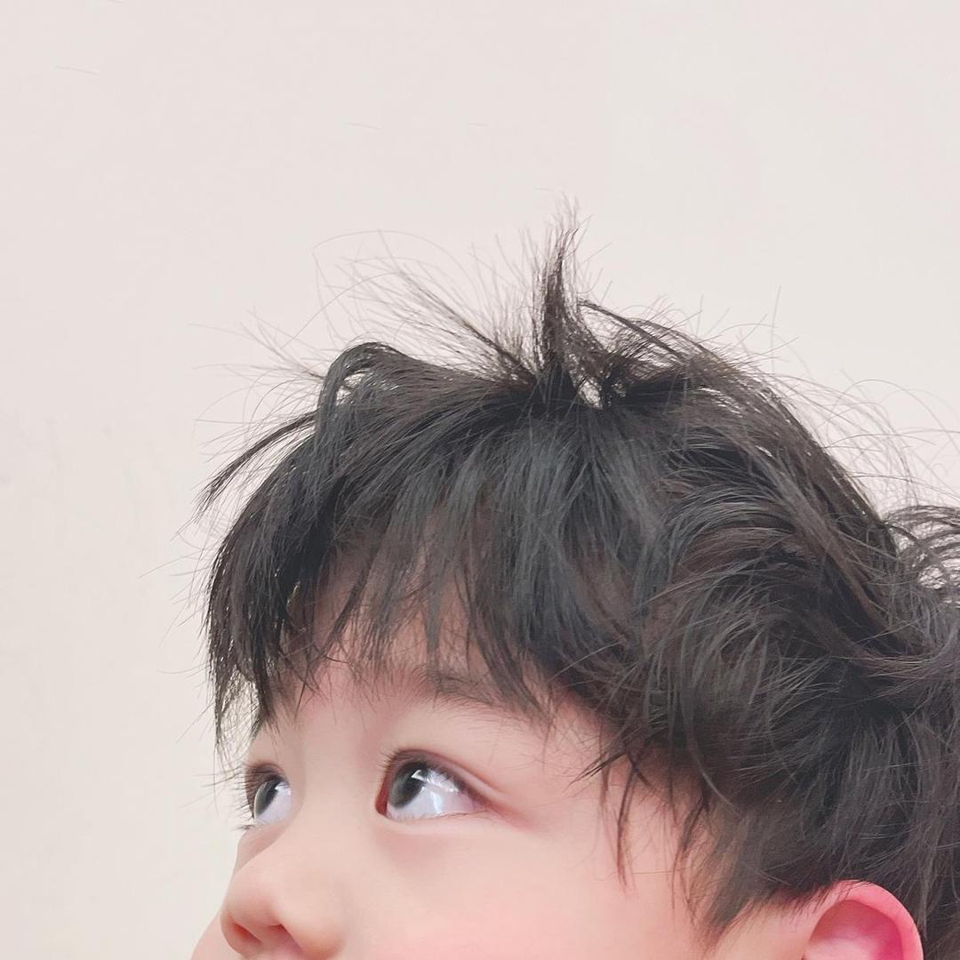 肥肥肥肉走开
