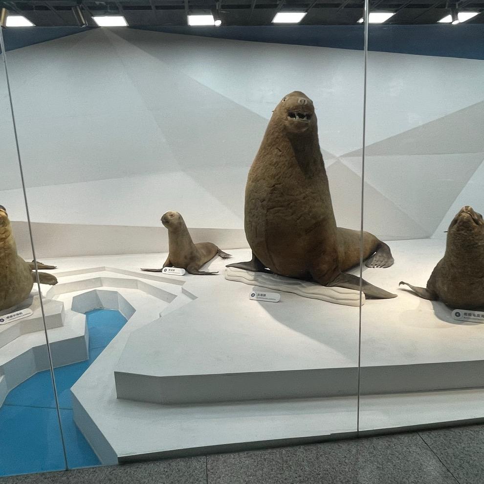 广州市花都区新华民杰服装店晓慕47店