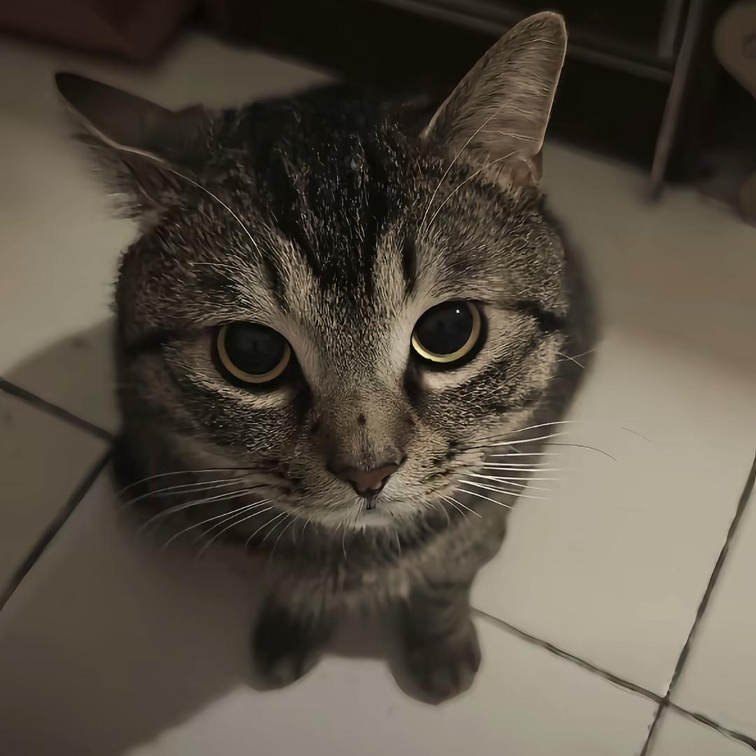 ？