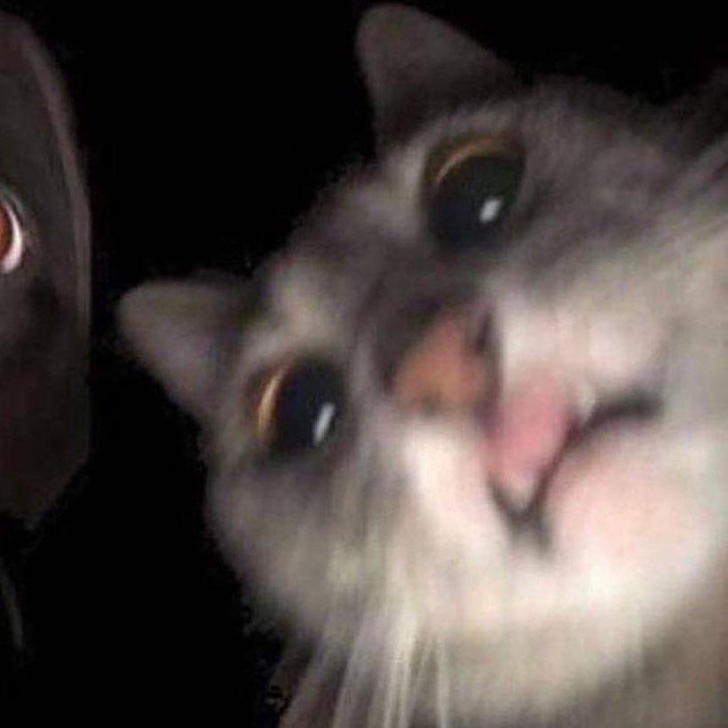 en