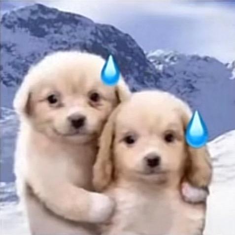 快乐宝宝