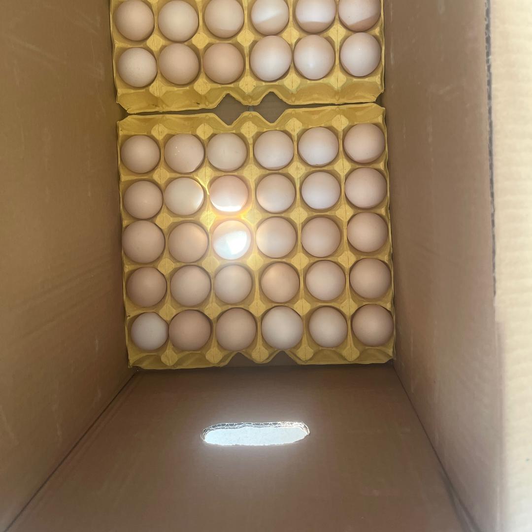 蛋行天下（普泽）居