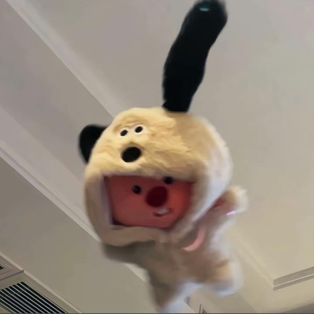 白茶zz