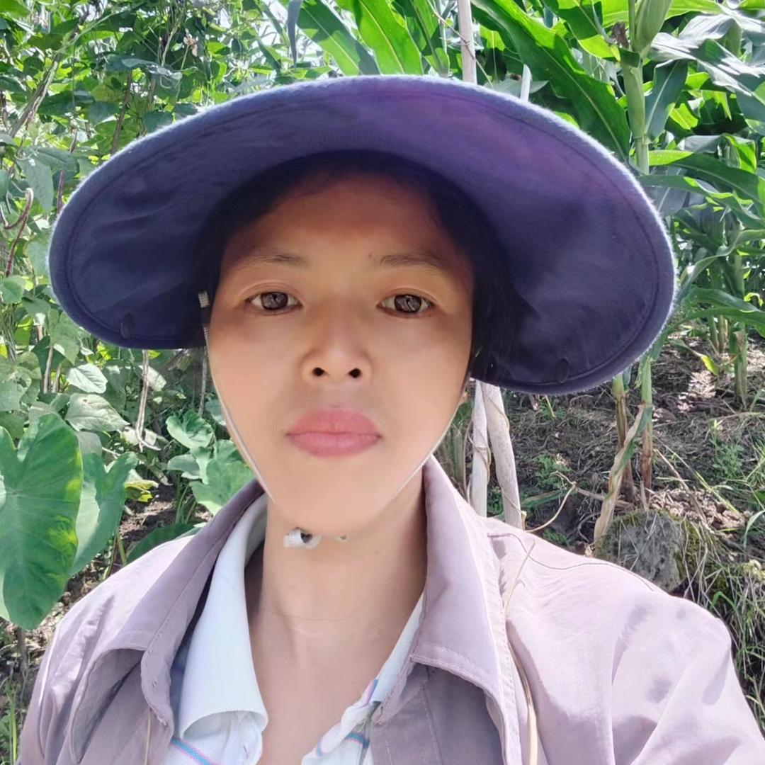沐苕花