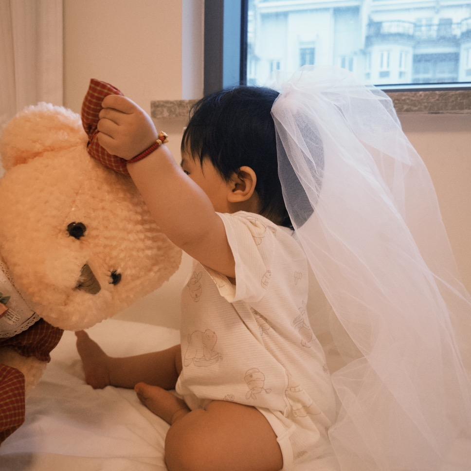 桐崽的营养日记