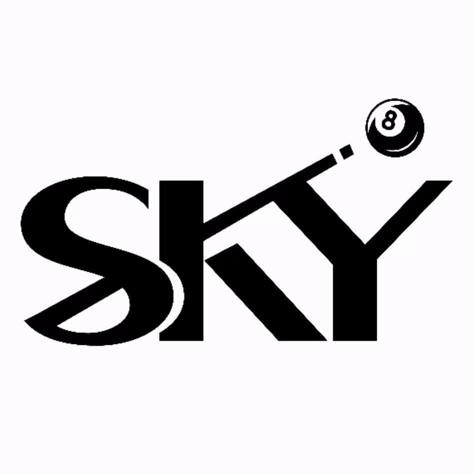 sky 台球俱乐部