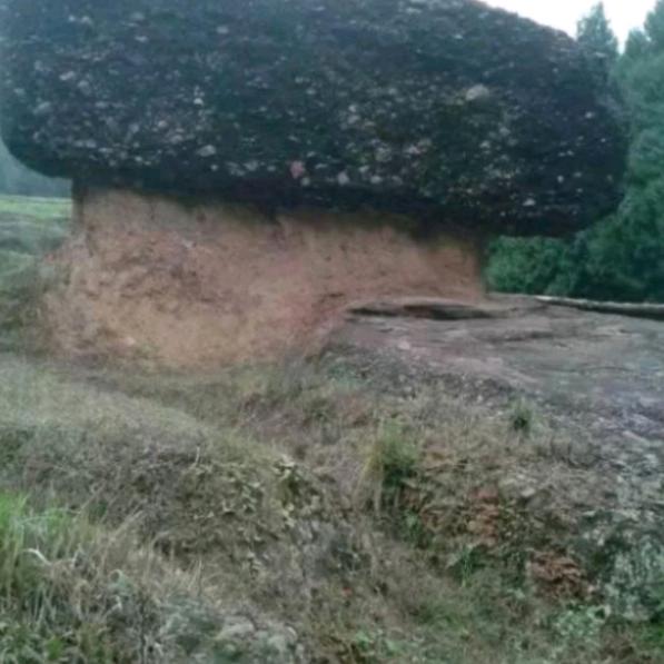 津门武术传人许渺头像