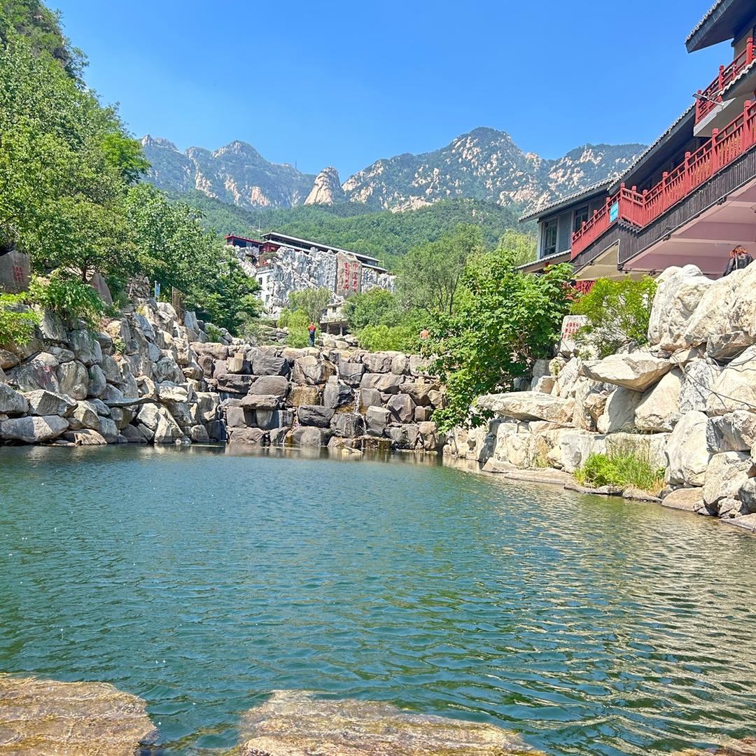 泊岸坞官方号