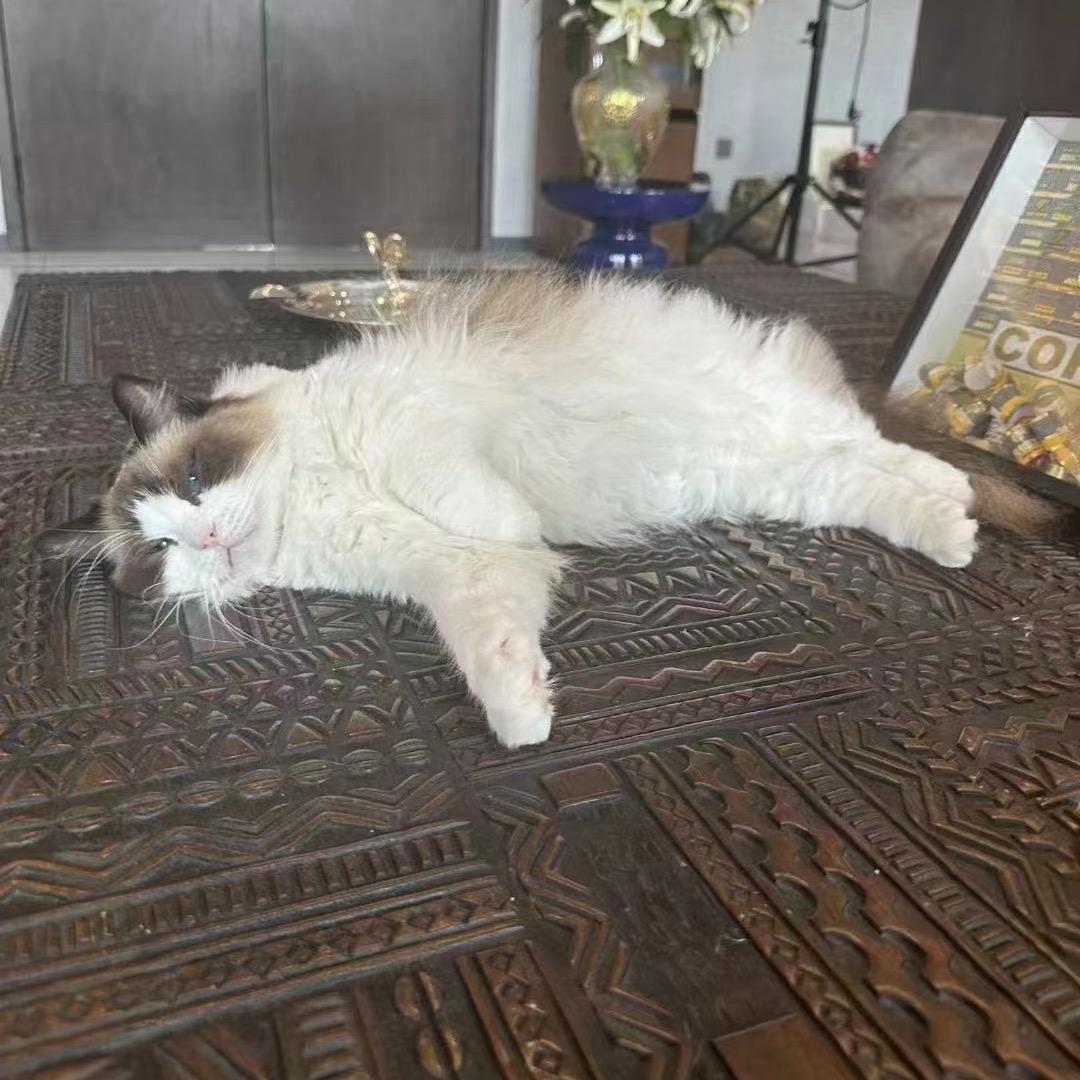 及近