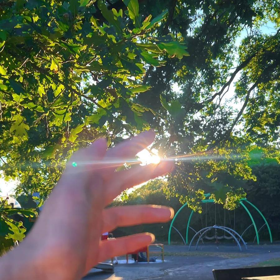 梦璃.幽鹤.🐬