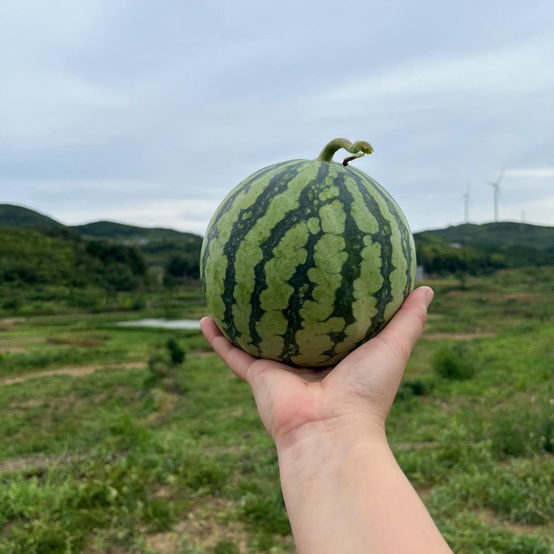 万场小明老阿姨