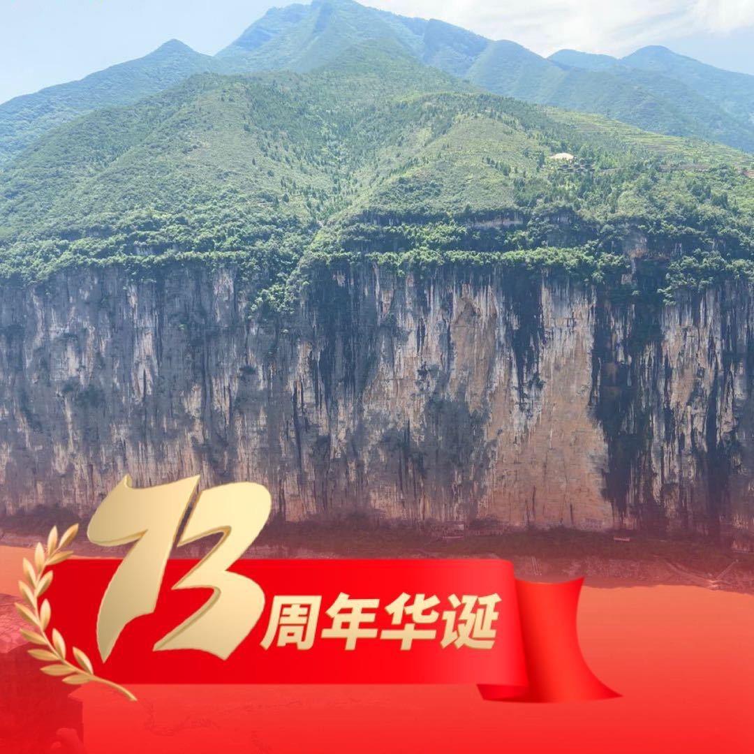 重庆金融居间伟多多