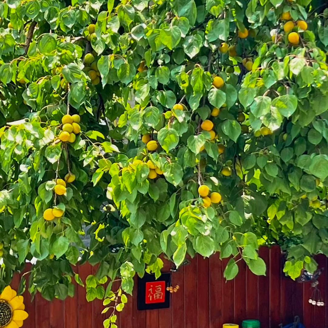 风起时