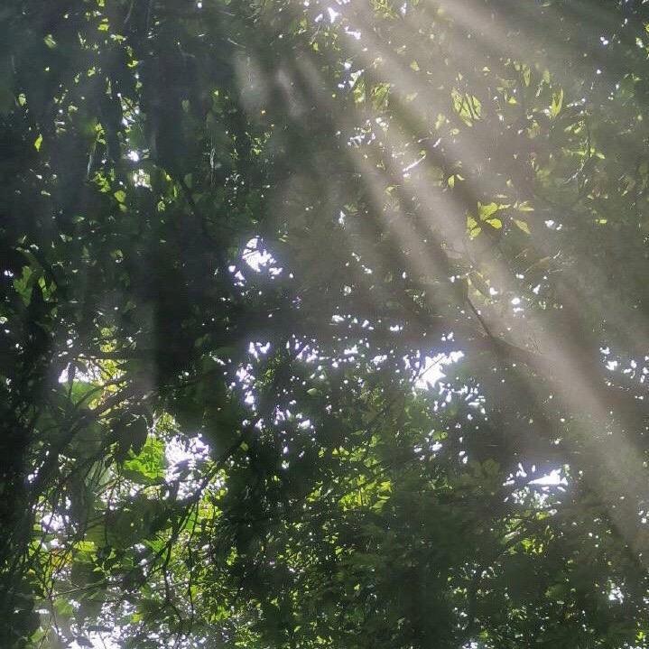 吃口泡芙