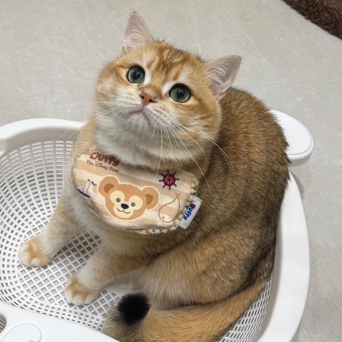 虾咪十三斤