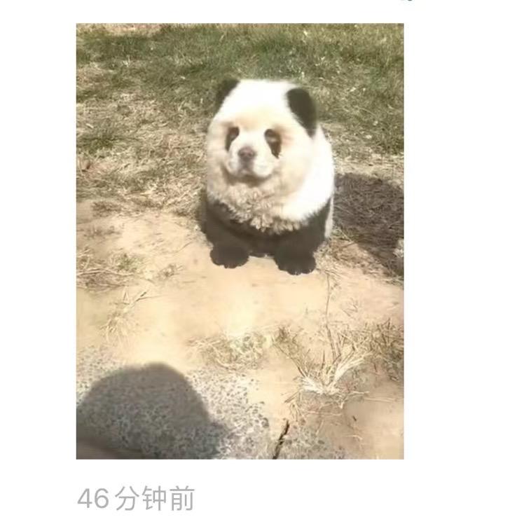 有间小屋玩具店