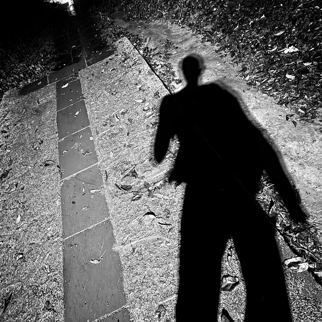 生菜sc（拍照版）