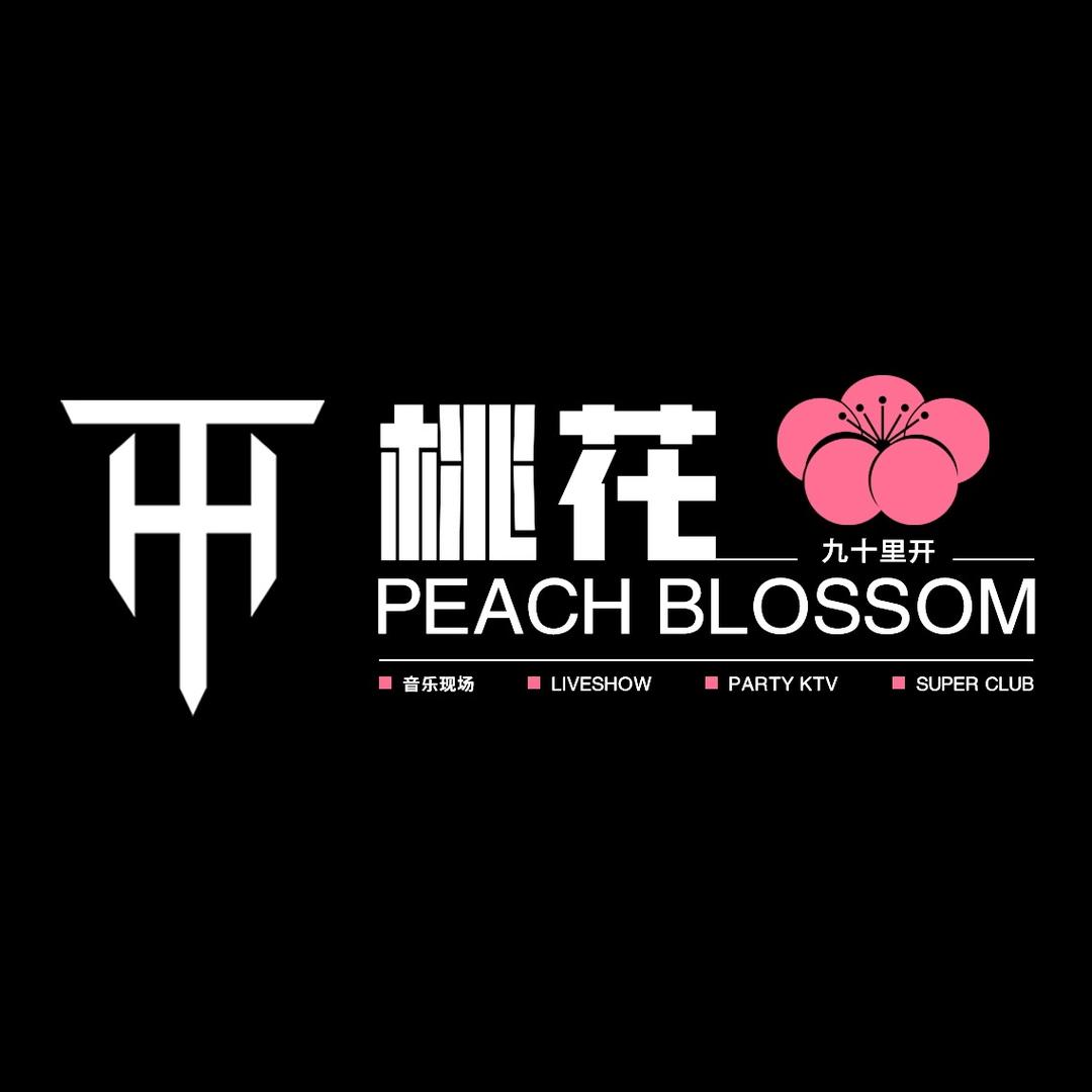 蚌埠桃花酒吧 LIVE HOUSE