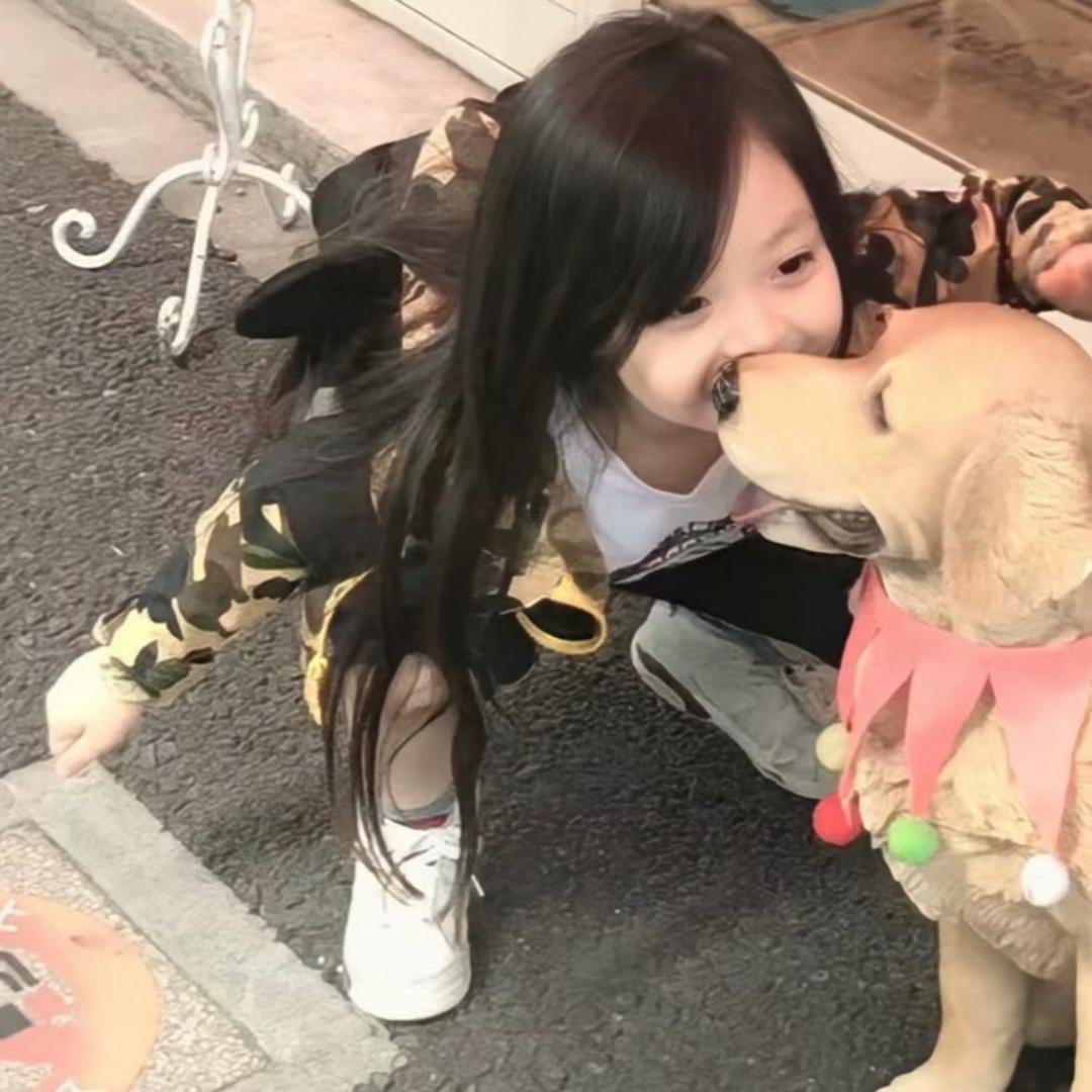悲伤猪猪