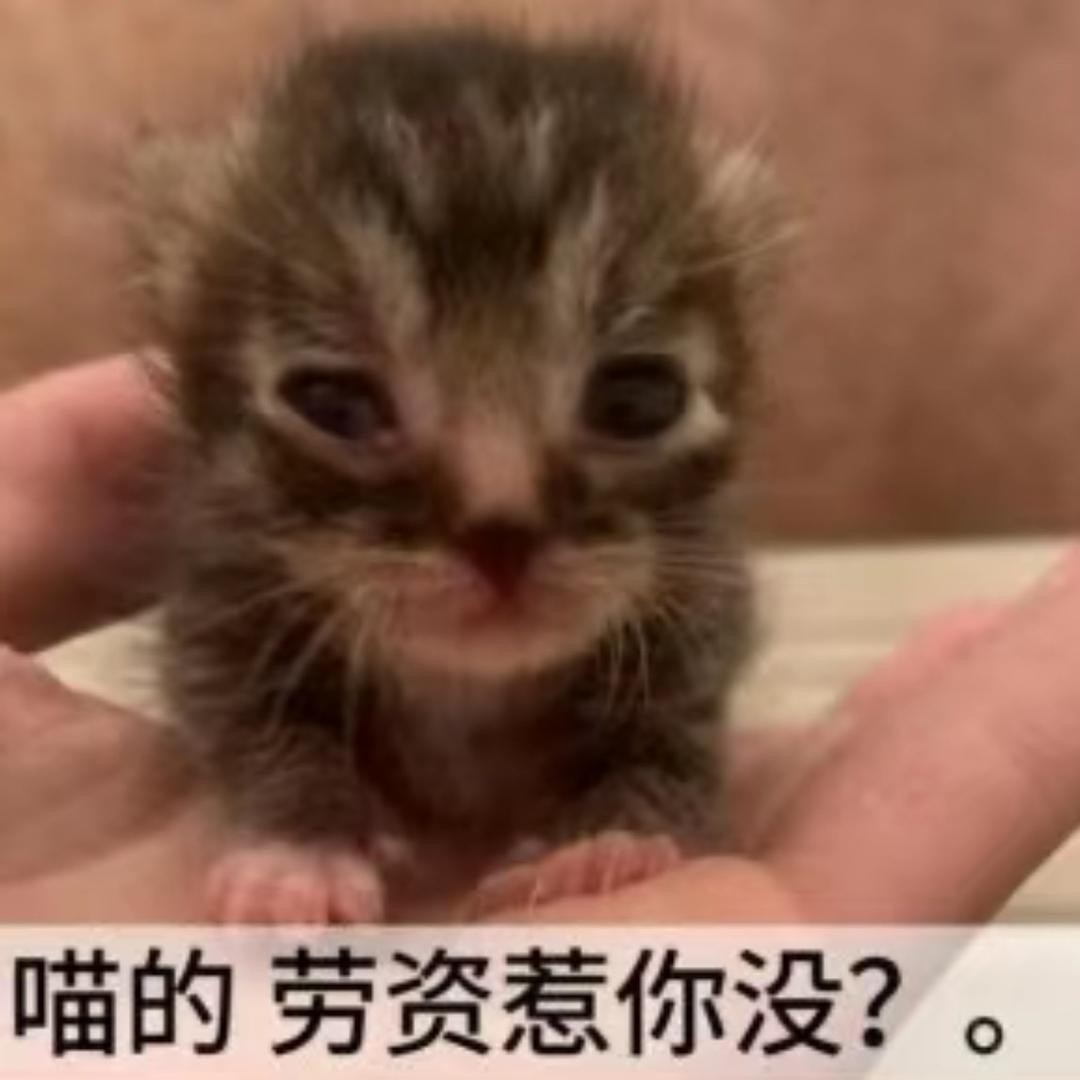 小野皇帝（招代理）