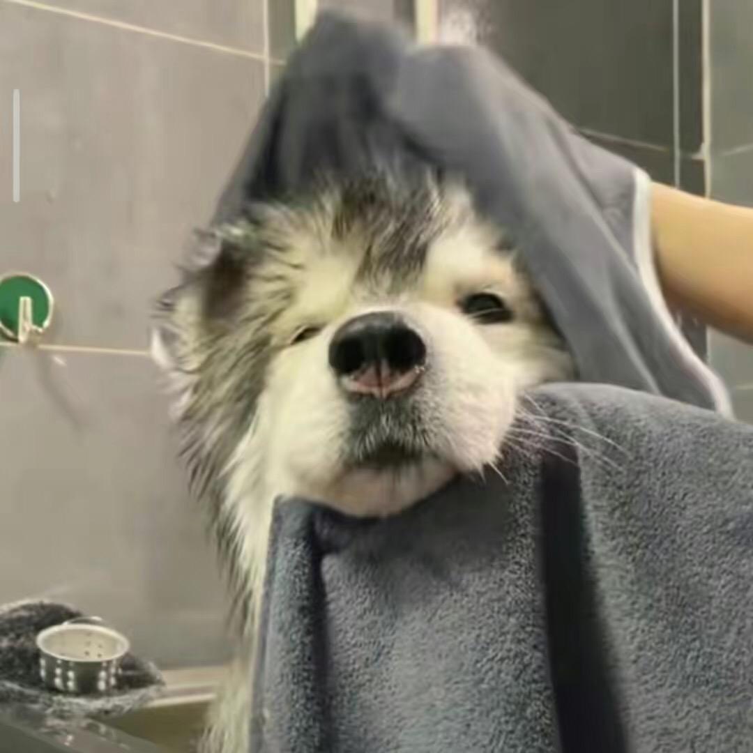 奥古！
