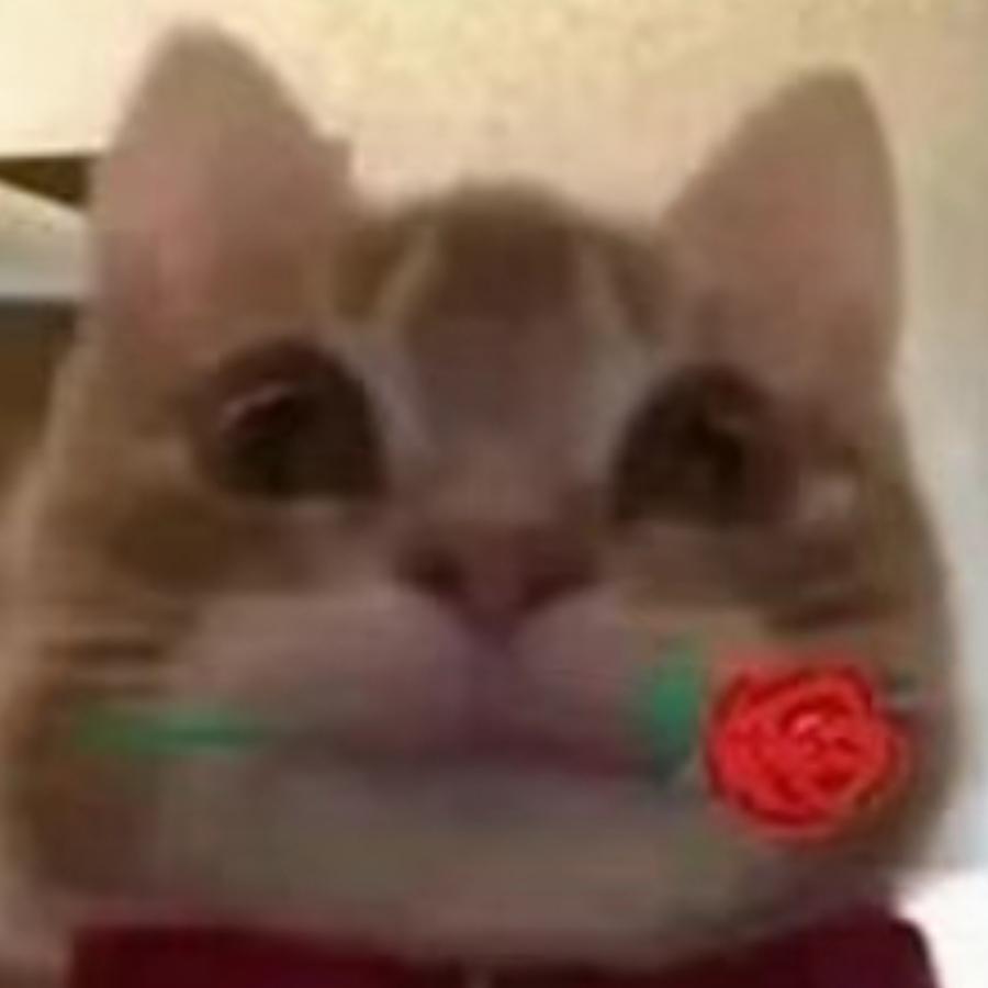 白林  代打天才少年