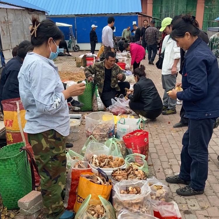 参林其境