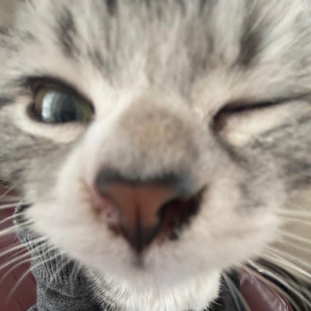 爽歪歪歪歪歪歪