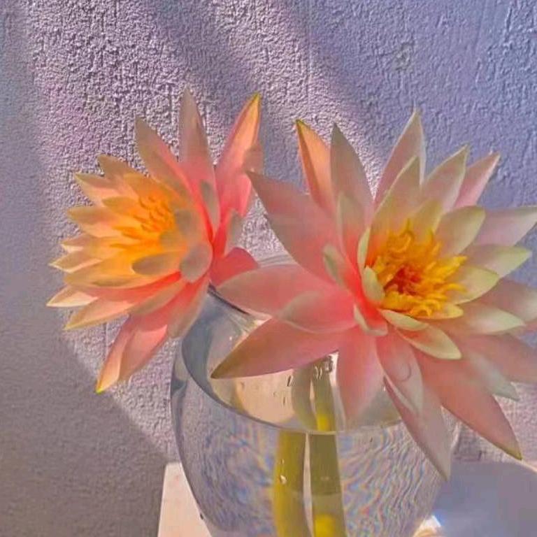 飞花似梦